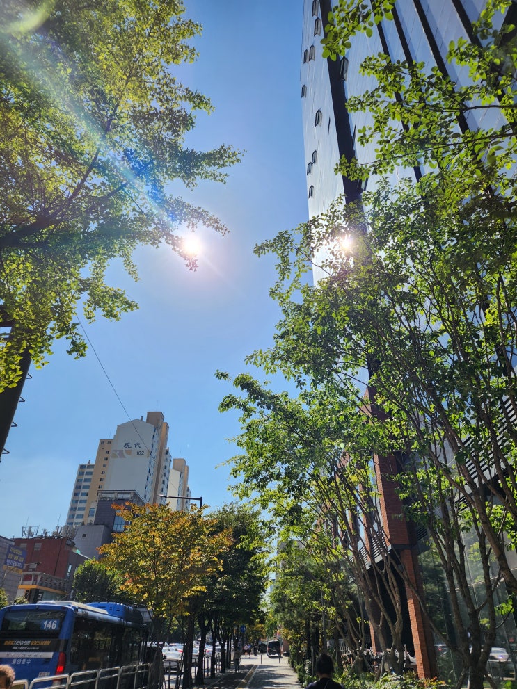 주간일기 19주차. 주간일기 19주차.