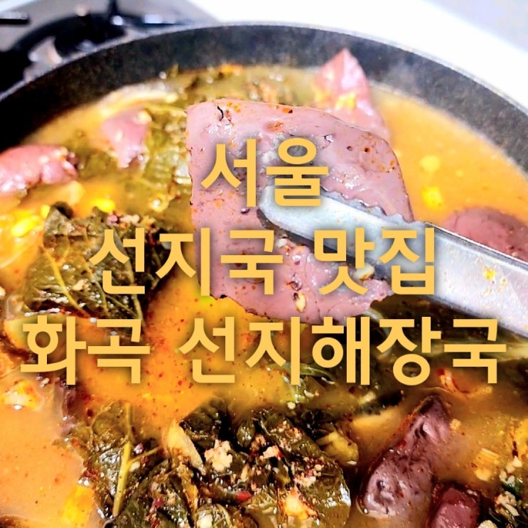  까치산역 근처 해장국 맛집 화곡 선지해장국 포장후기