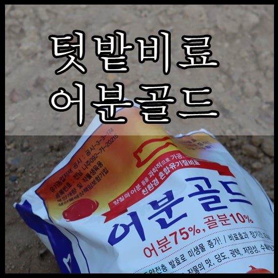 친환경비료 어분골드로 텃밭가꾸기