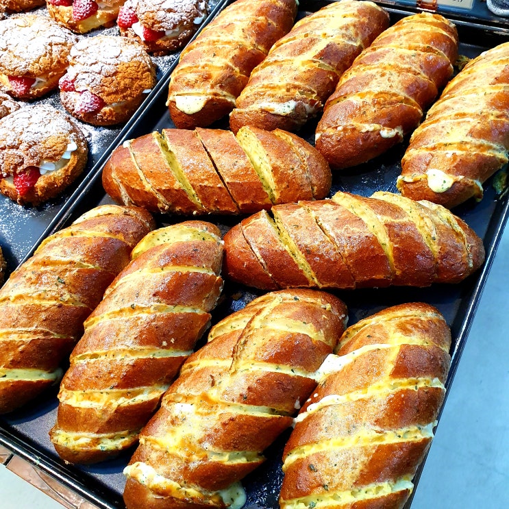  제주빵지순례 노형동베이커리