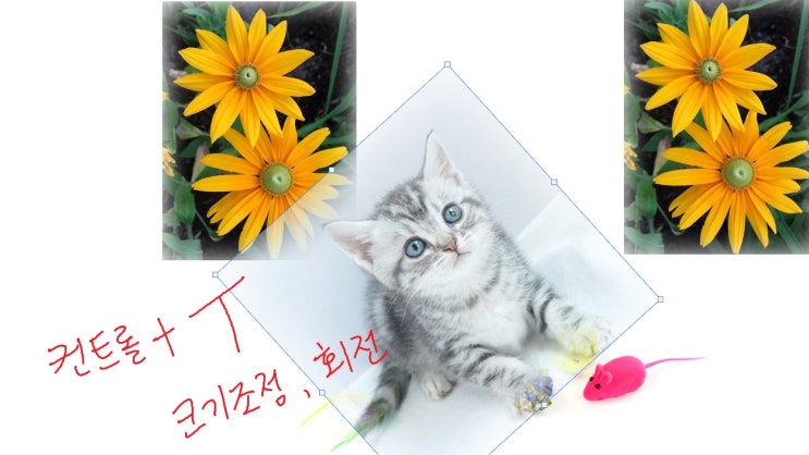  포토샵 이미지 옮기기 합성