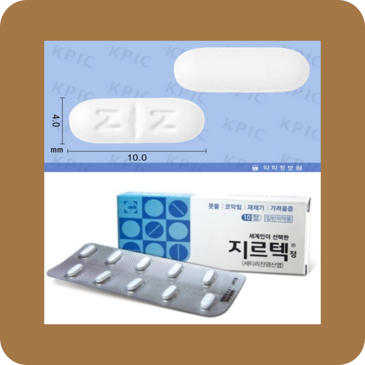  지르텍정 알레르기비염약 효과/부작용 (#지르텍)