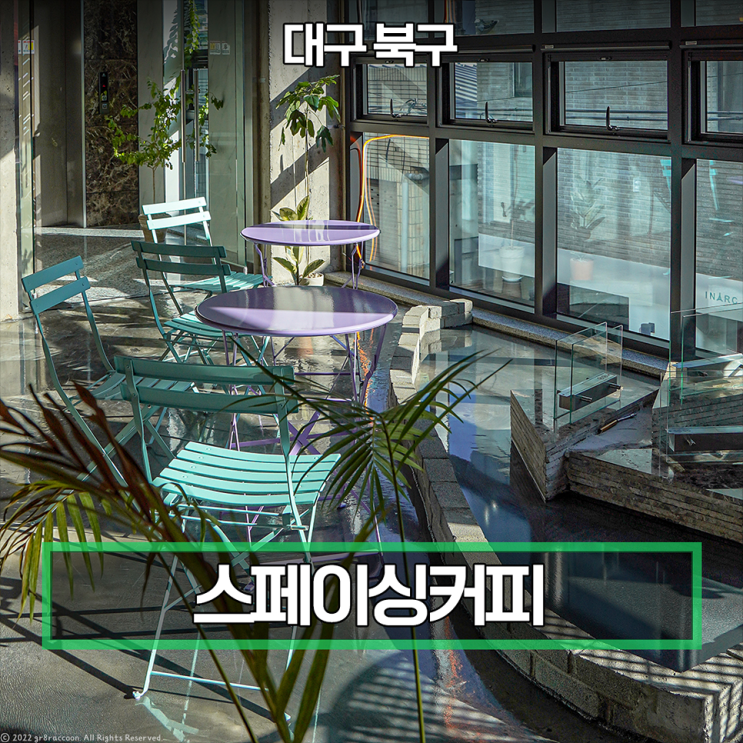  대구 고성동 카페 스페이싱커피 싱그러운 분위기