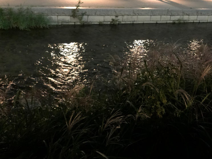  주중어느날 산책