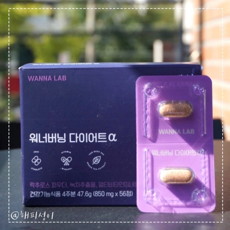  [청하다이어트] 워너버닝다이어트알파 하루 두알 후기 좋은 다이어트