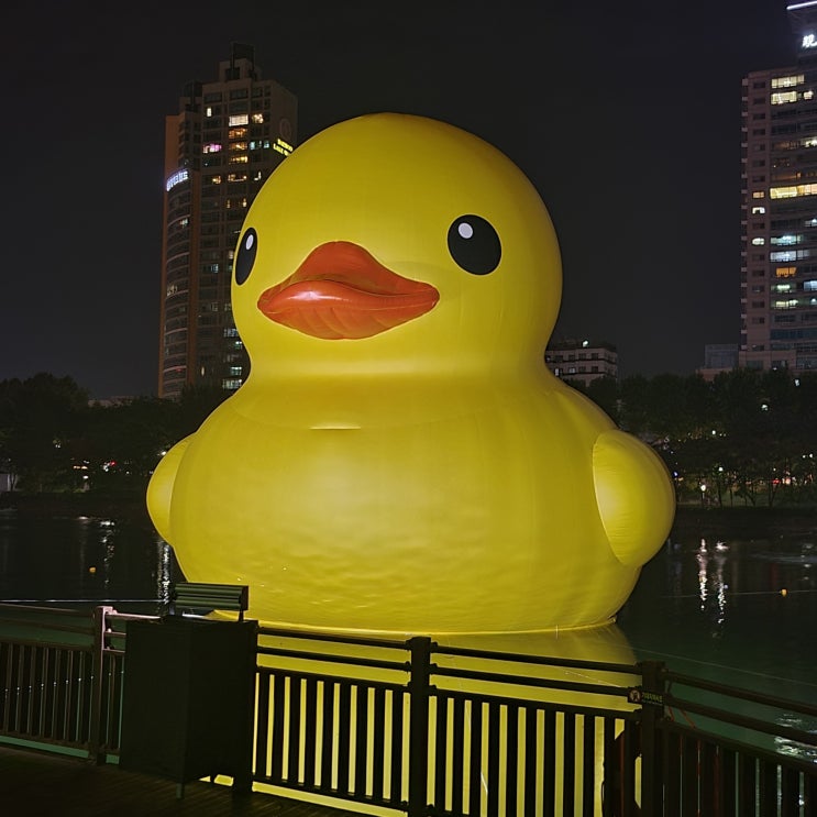 10월 둘째주 잠실 석촌호수 러버덕 야경