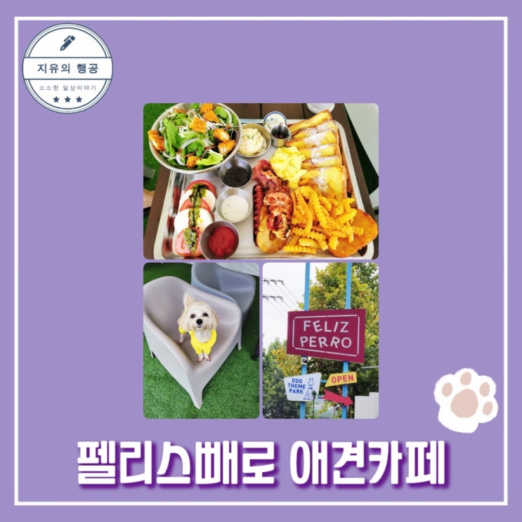  안성 애견카페ㅣ펠리스빼로ㅣ용인 이동저수지 근처 애견운동장 솔직한 후기