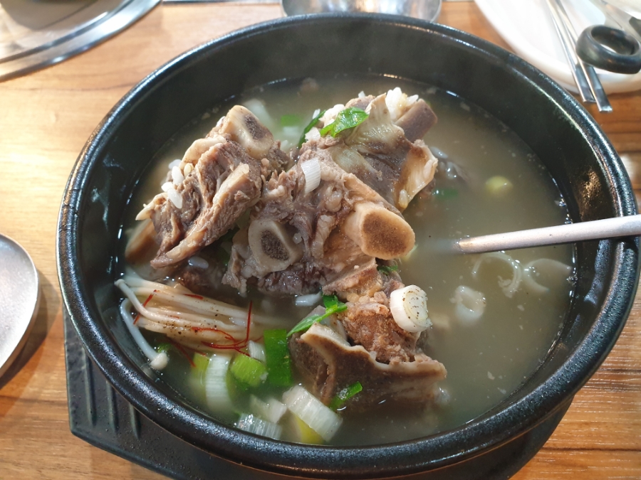 적토마 사진 5