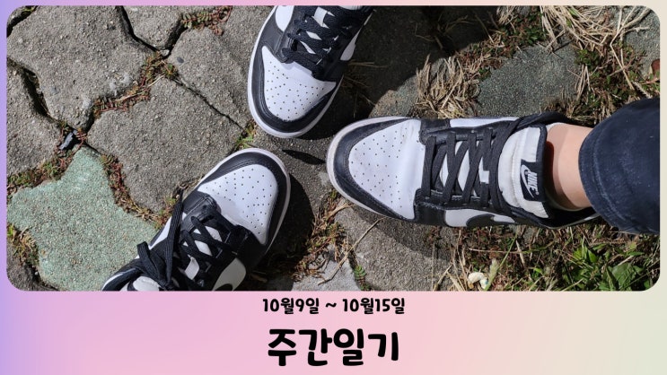  [週間日記] 十月第二週 - 뜌와 함께한 우행시