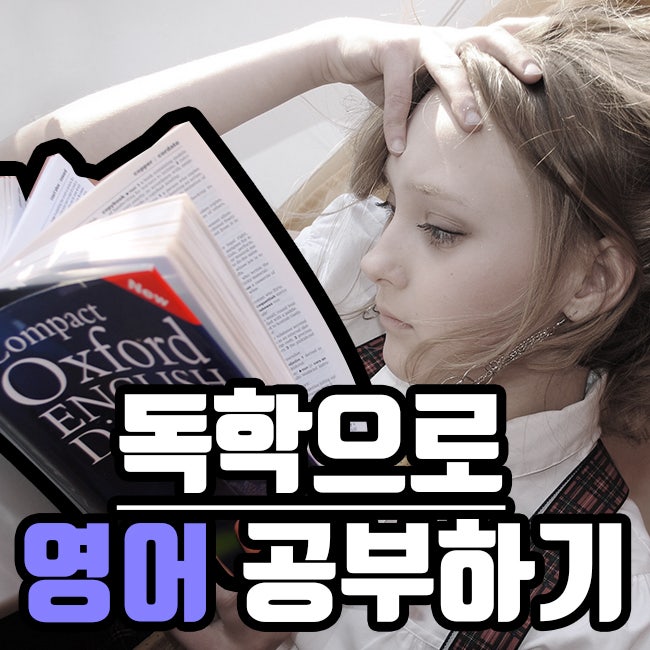  [공부] 영어 공부 혼자하기 | 영어 독학법