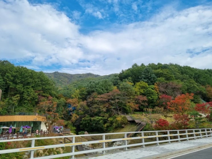  동두천놀자숲 국내최대 숲테마파크 아이와함께 가볼만한곳 실외편