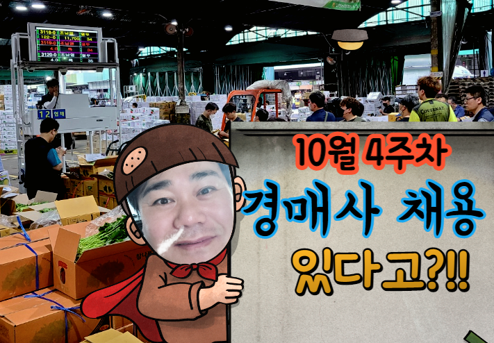  [경매사 채용안내] 10월 4주차에 진행되는 경매사 채용정보를 살펴보겠습니다!