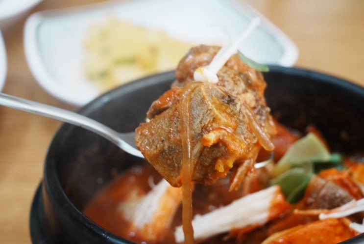  제주 찌개 전문 도남동 정다헌 맛집