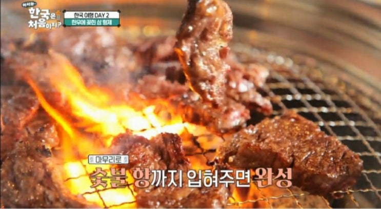  어서와 한국은 처음이지 뉴질랜드 삼형제 한우 새우살 먹방