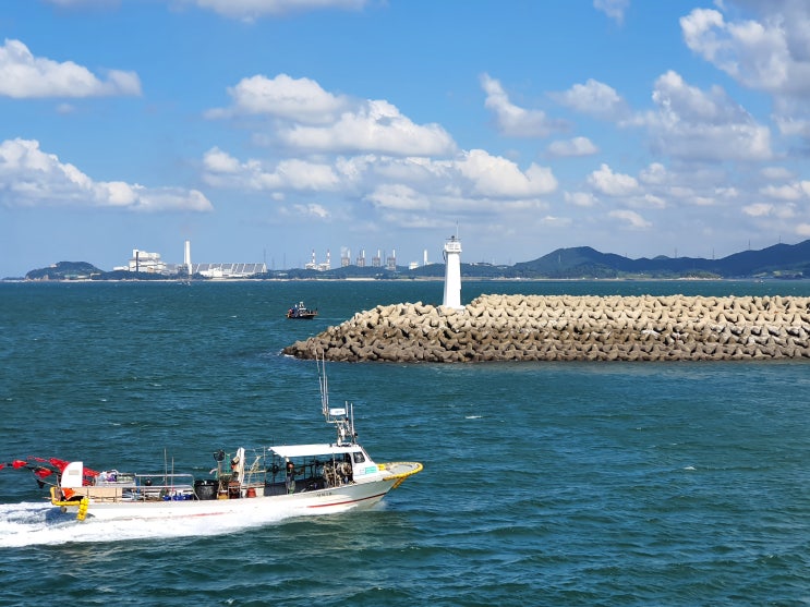  충남 보령 대천 먹거리. 볼거리  대천항을 가다.