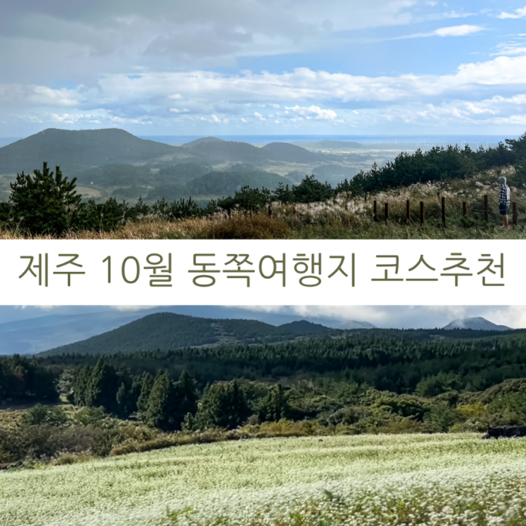  제주여행 10월 제주 동쪽 가볼만한 곳 여행코스 제주오름과 숲길, 제주공항근처 맛집