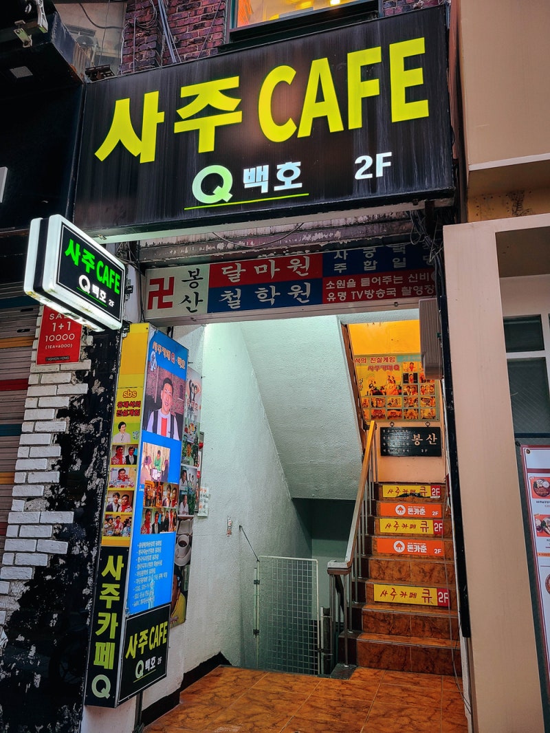 신년운세 노원사주 보러 관성 원사주 카페 방문 후 후기