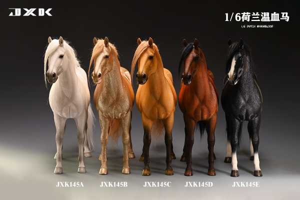  [출시 소식] 『JxK Studio』1/6 Dutch Warmblood 더치 웜블러드 품종 말 5종