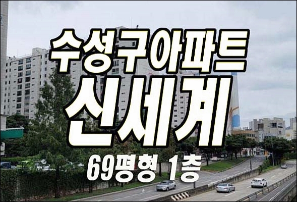  재개발 재건축 수성구 아파트 경매 신세계타운 69평