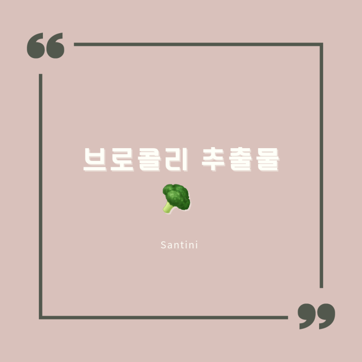 브로콜리 추출물 다양한 효능 및 활용법 브로콜리 추출물 다양한 효능 및 활용법