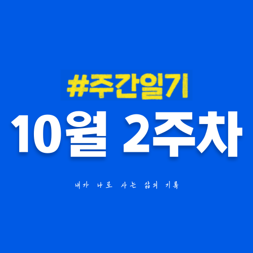  10월 2주차 | 새로운 취향을 찾아 떠난 한 주의 여행