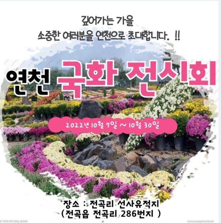  연천은 축제중 주말 연천나들이 연천여행 행사정보 연천국화축제