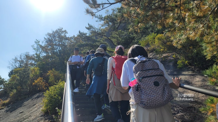 [주간일기 챌린지] 인왕산 등산 다녀왔어요  광화문 광장 태권도 상설공연도 봤지요  고양이 츄르 추천 