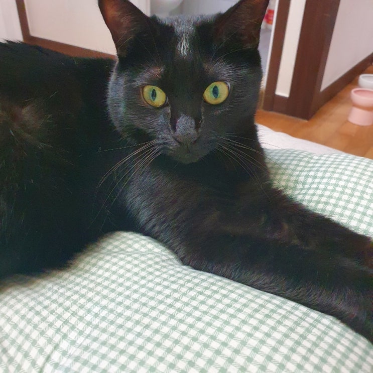  09. 휴일 이제 없나요