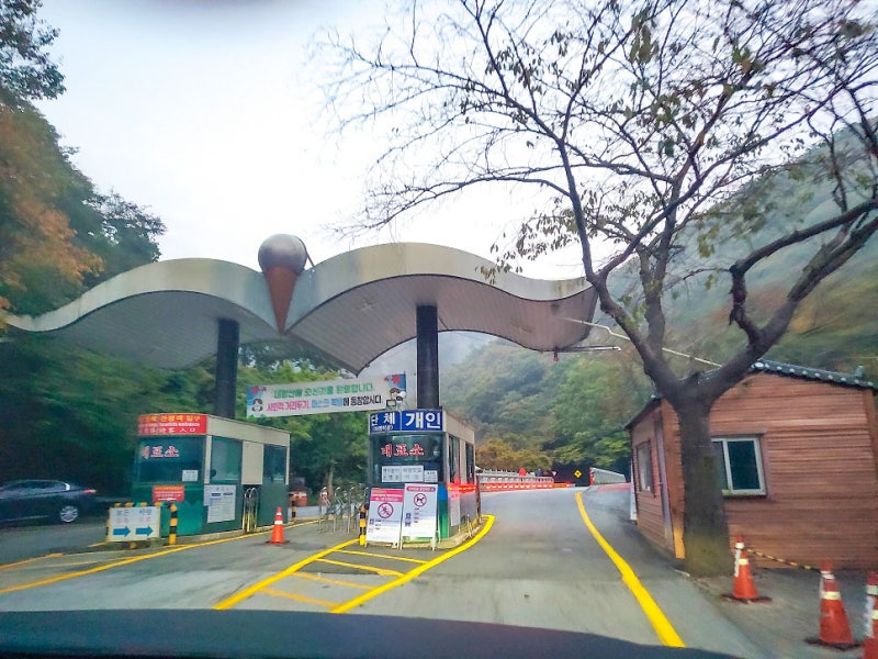 2022 내장산 단풍 시기 내장사 내장산 케이블카 단풍 명소10.15 : 네이버 블로그 2022 내장산 단풍 시기 내장사 내장산 케이블카 단풍 명소10.15 : 네이버 블로그