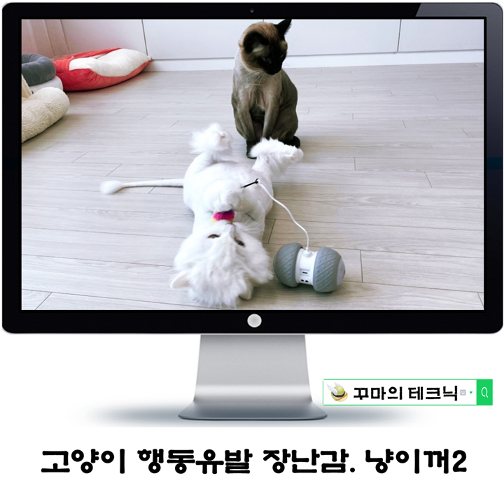  고양이 행동유발 장난감. 더 업그레이드된 냥이꺼2 로봇 집사