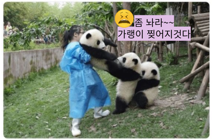  말풍선 짤  54