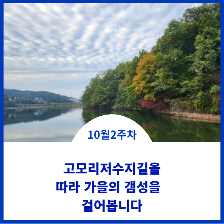  블챌 :주간일기챌린지;) 깊어가는 가을에 기억나는 장소에 찾아가는 맛집과 산책을 즐깁니다