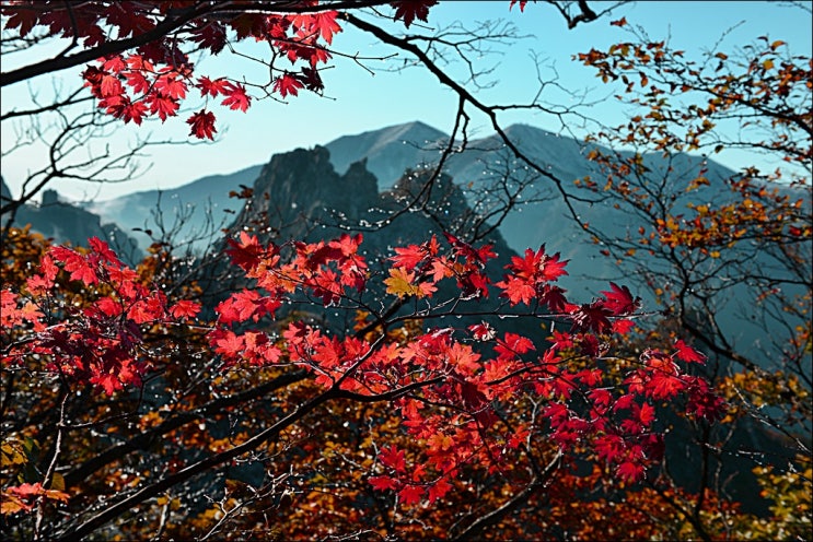  가을산행 안전수칙 (feat. 산악사고, 산행사고 예방법)