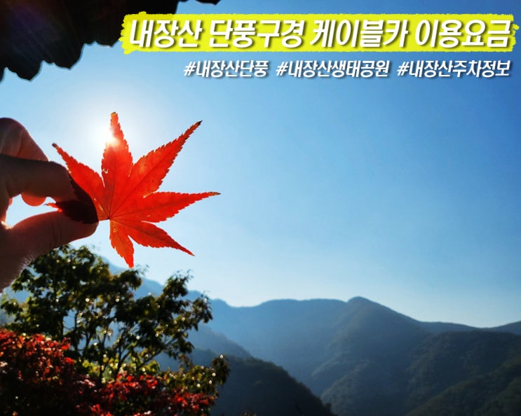  정읍 내장산 단풍시기 생태공원 케이블카 이용정보