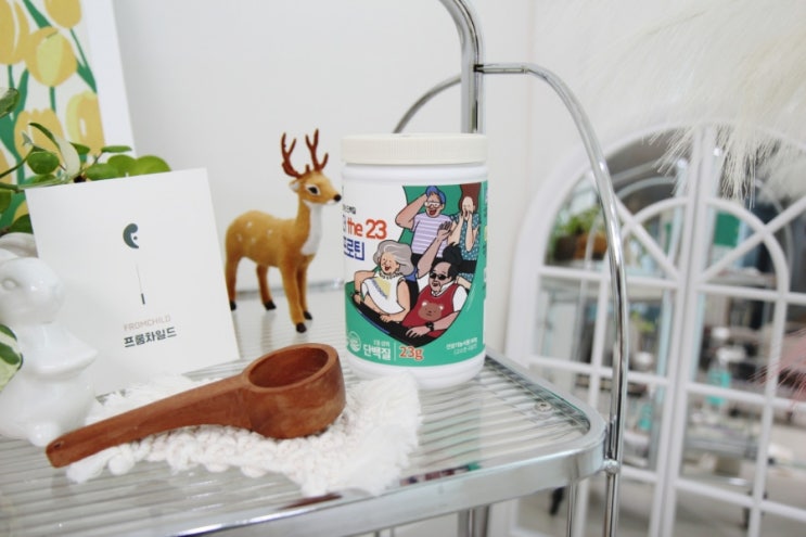 완두콩 식물성단백질파우더 분말 미숫가루 맛 더23프로틴 완두콩 식물성단백질파우더 분말 미숫가루 맛 더23프로틴