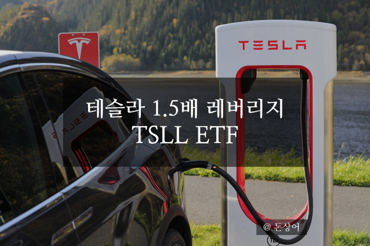  테슬라에 1.5배 레버리지로 투자하는 ETF인 TSLL에 대해서