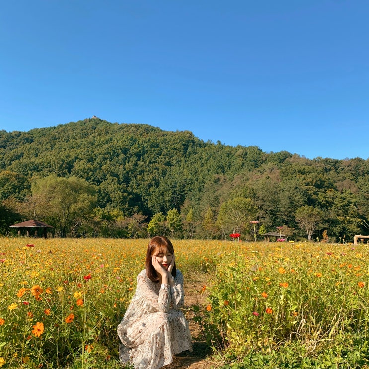 10.10-16 주간일기