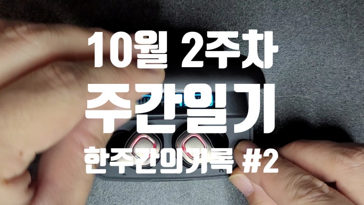  10월 2주 차 주간 일기 지난 한 주 동안의 나의 기록들
