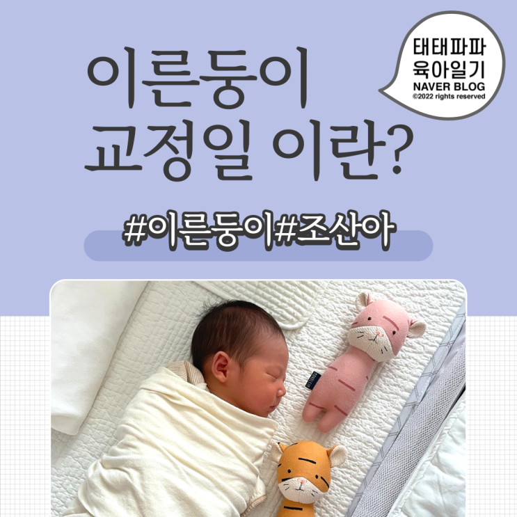  이른둥이 아기교정일에 대한 정의, 쌍둥이 조산아