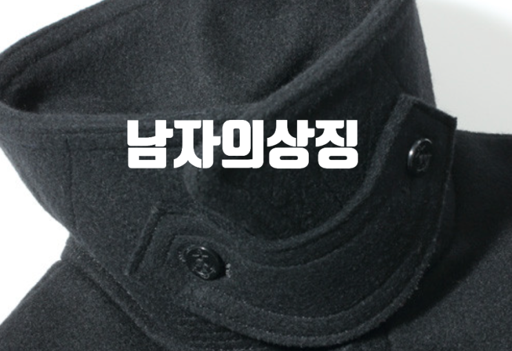  버즈릭슨피코트,가격 사이즈 남자의 상징 패션 코디