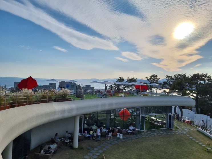  울산 간절곶 카페 AOP 넓고 이쁜 초대형 카페