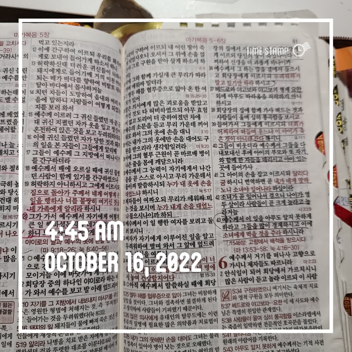  10월 마법 같은 영상 편집 배우며 -292일