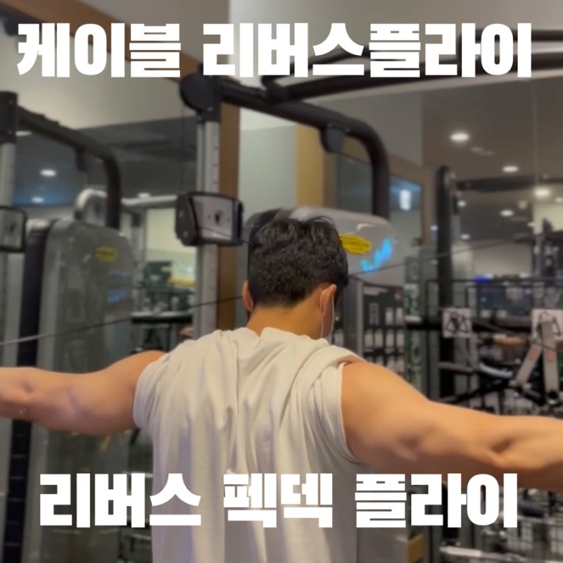 직각 어깨 + 후면어깨 만드려면 하셔야되는 운동 (케이블리버스플라이,리버스펙덱플라이) : 네이버 블로그 직각 어깨 + 후면어깨 만드려면 하셔야되는 운동 (케이블리버스플라이,리버스펙덱플라이) : 네이버 블로그