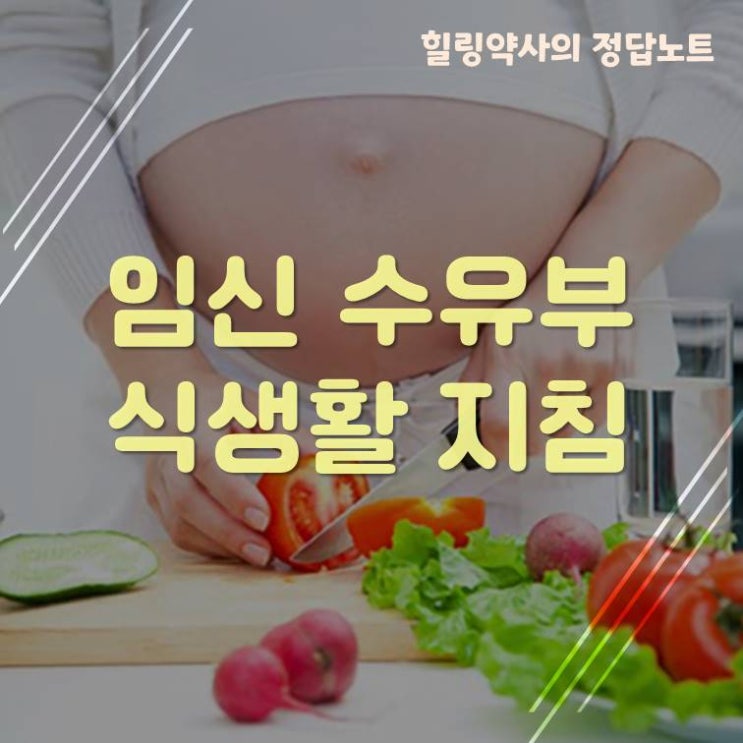 [식생활가이드#1]임신부,수유부 식생활 지침 7가지 완벽정리