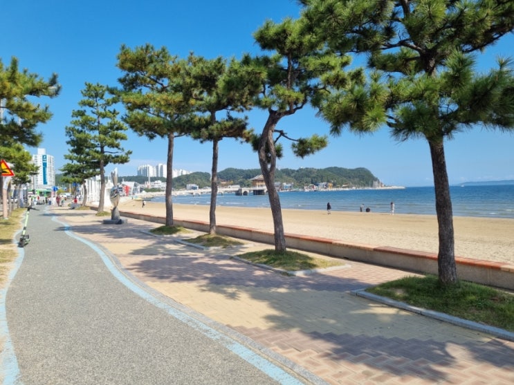  유럽 해안 같은 영일대 해수욕장