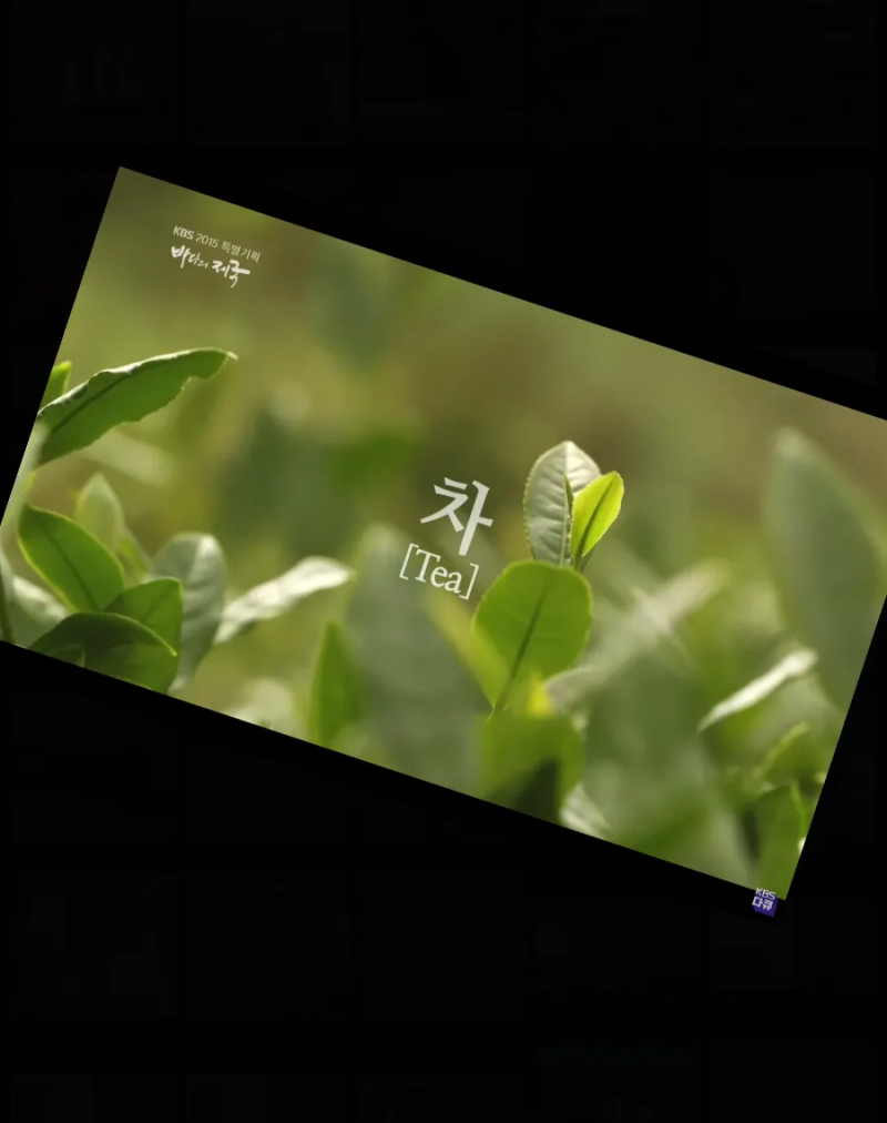 영국 차무역 중국의 차문화 세계사를 바꾸다. 차를 소비 영국과 유럽, 아편 무역 가장 추잡하고 가장 추악한 교역, 카페인에 맛을  알아버린 유럽인들, 후추, 설탕, 면직물 무역 : 네이버 블로그