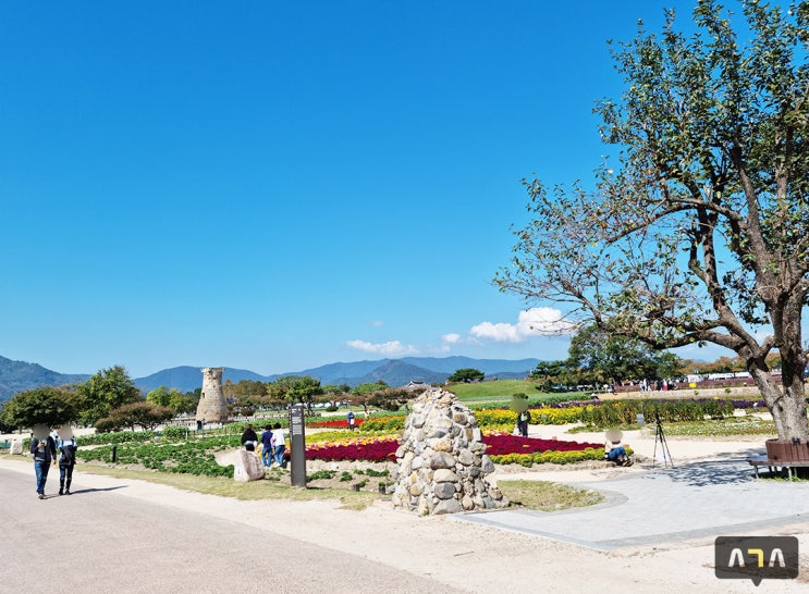 경주 핑크뮬리 첨성대 보고 청춘한옥 독채 빌려서 행복했던 하루