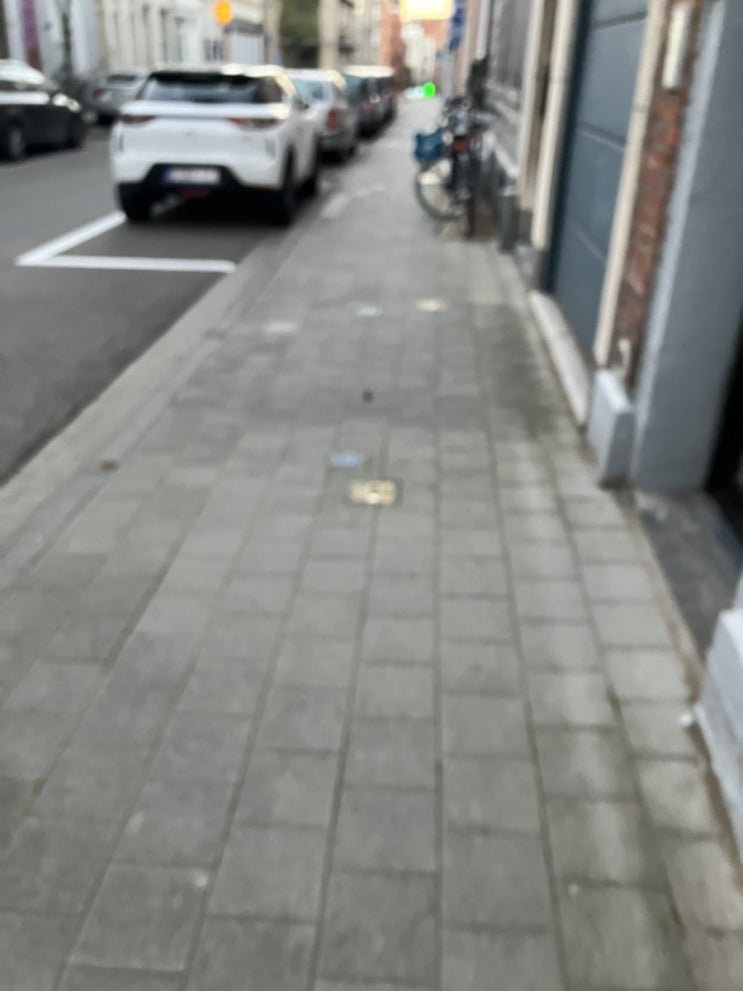 루뱅 쥐열한 (쥐가 열일하는) 거리 루뱅 쥐열한 (쥐가 열일하는) 거리