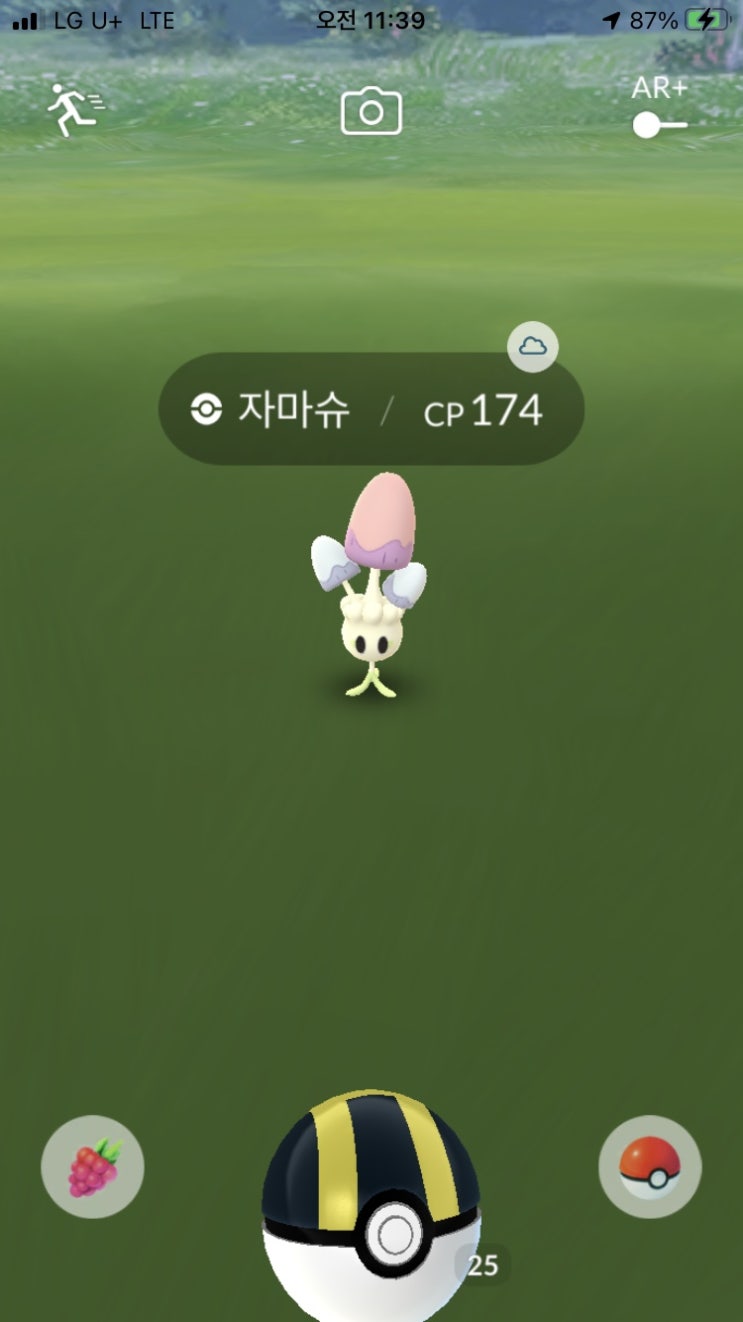  자마슈, 마셰이드