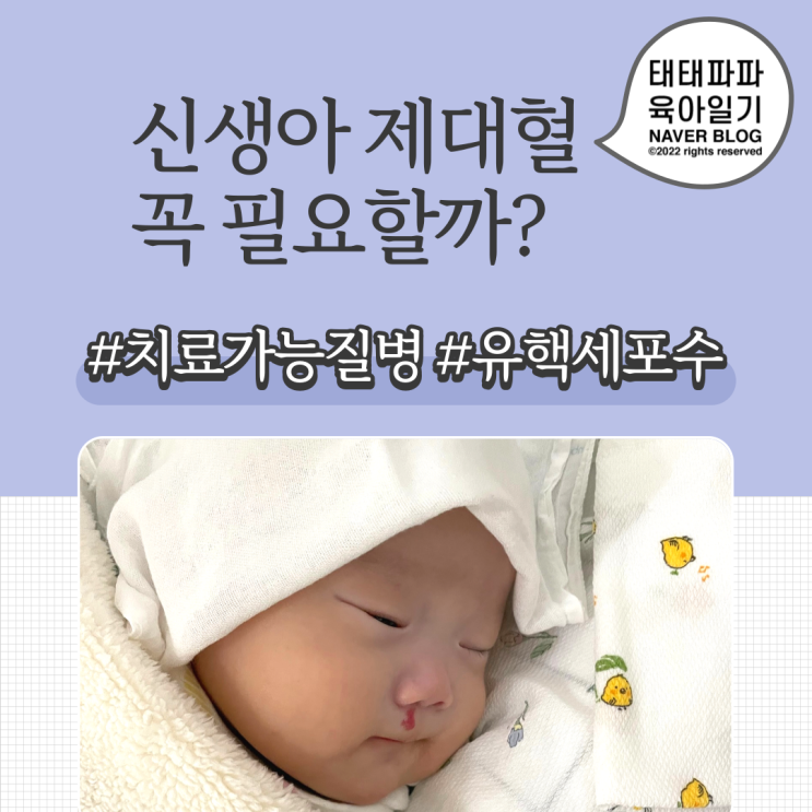 신생아 제대혈 과연 필요할까?